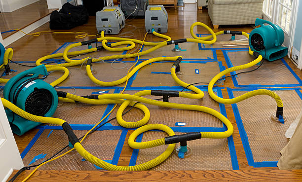 Professional Sewage Cleanup technician working in Absaraka, ND